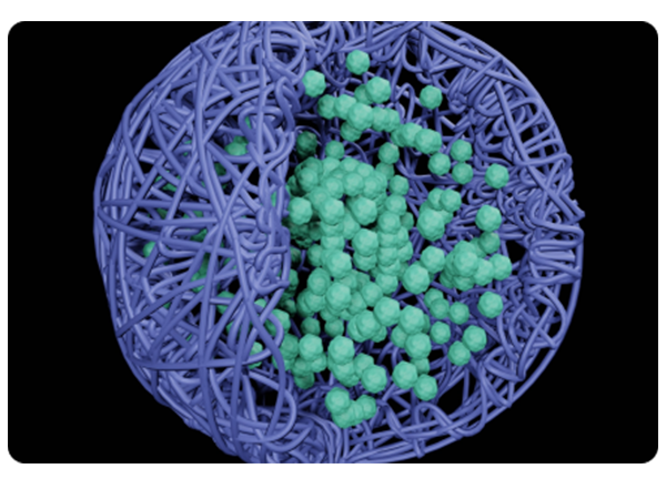 Membrane-Separation
