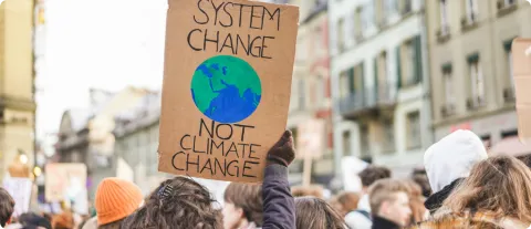 Environmental and Advocacy Groups